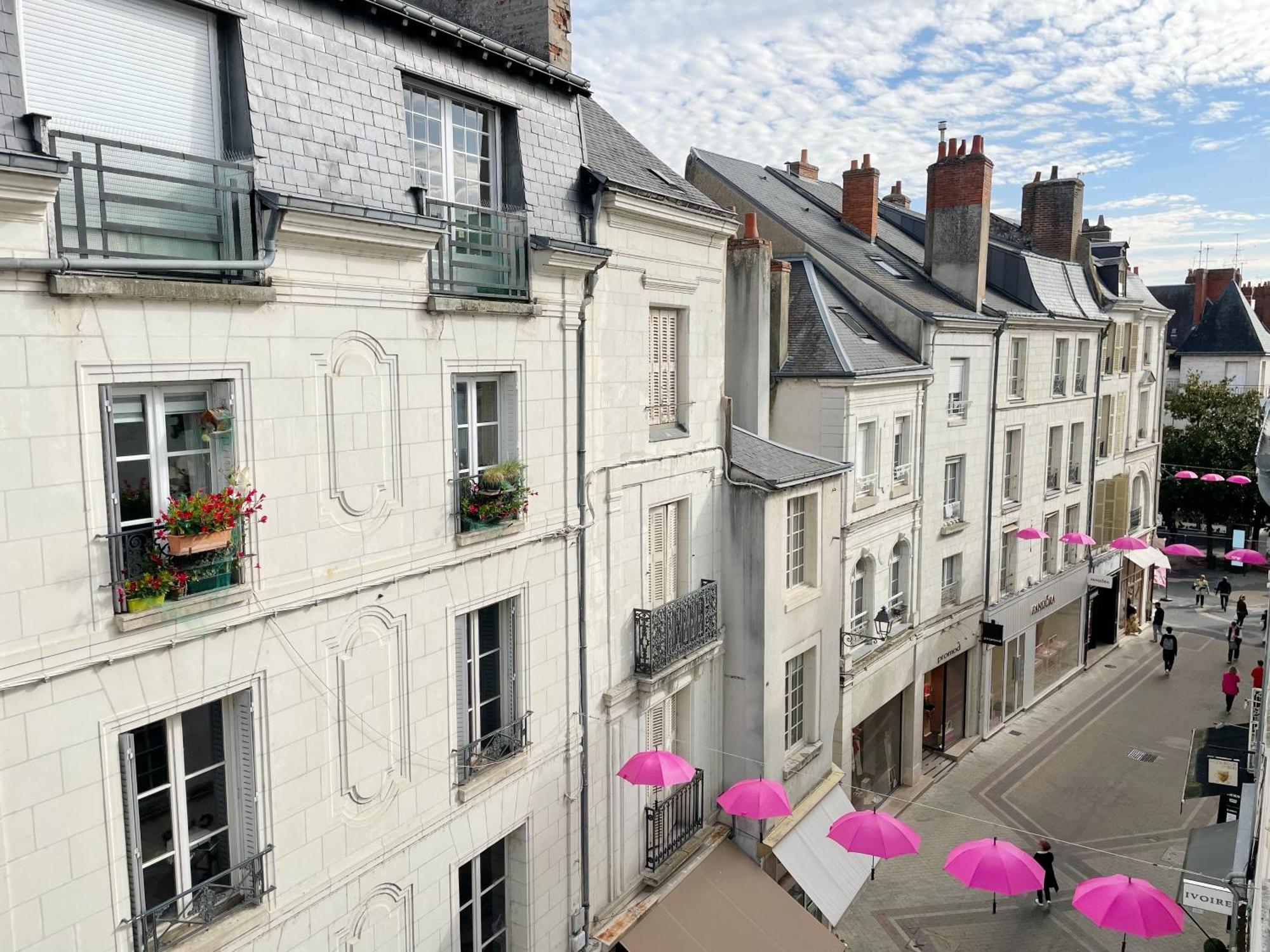 Magnifique Logement Au Pied Du Chateau Блуа Екстер'єр фото